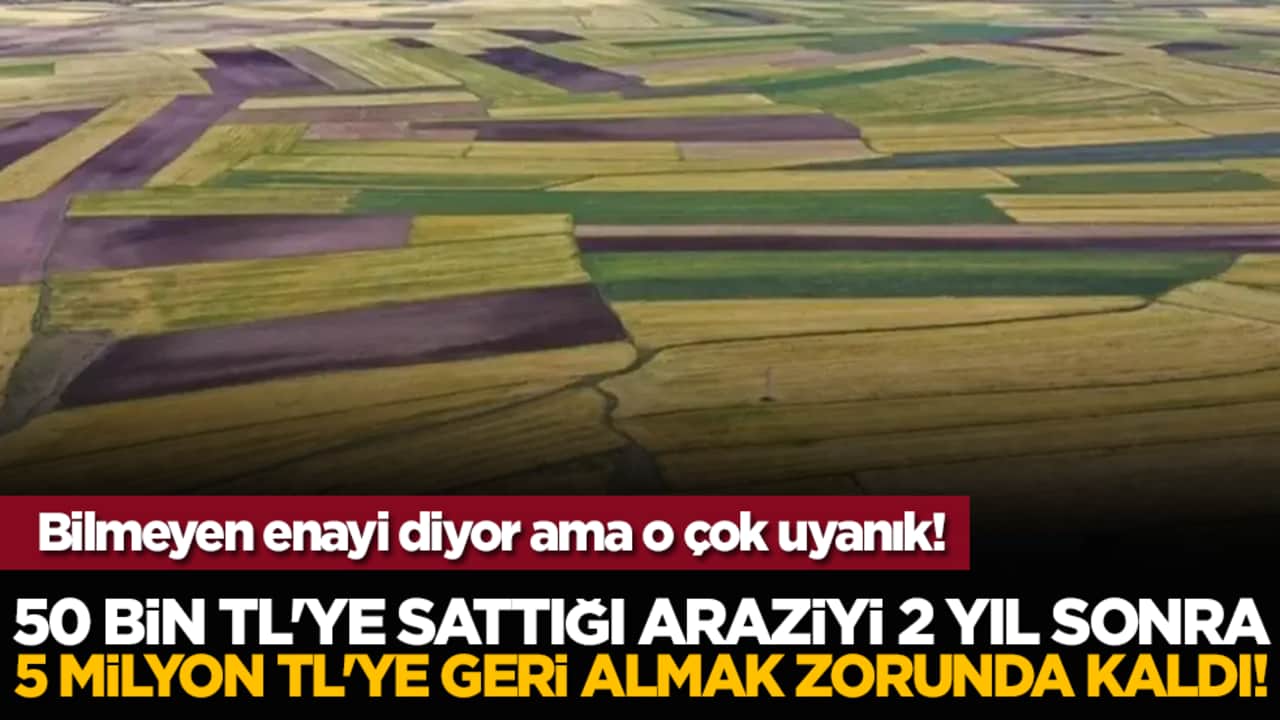 50 bin TL'ye sattığı araziyi 2 yıl sonra 5 milyon TL'ye geri almak zorunda kaldı!