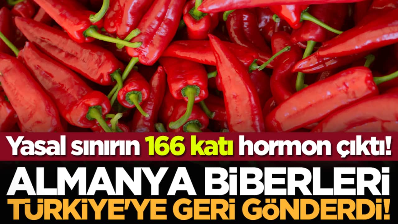 Almanya biberleri Türkiye'ye geri gönderdi! Yasal sınırın 166 kat üzerinde hormon çıktı! Kim bilir bize neler yediriyorlar!