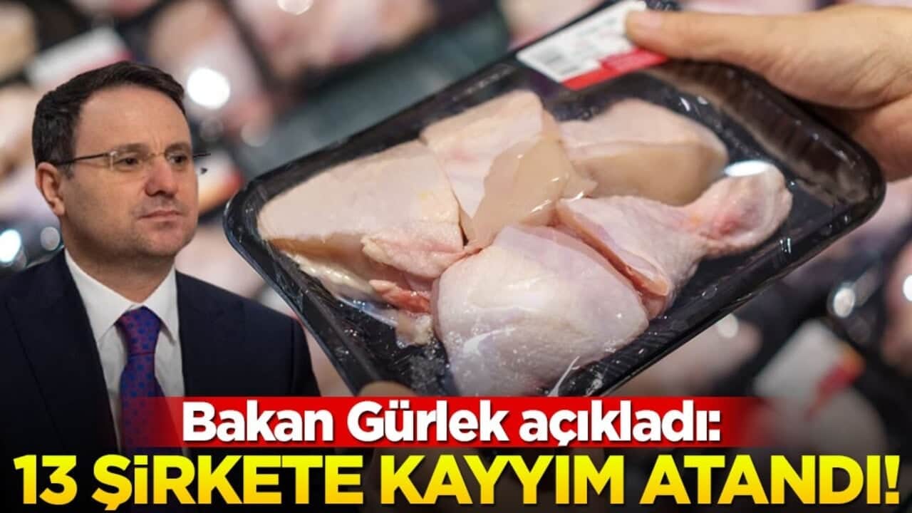 Bakan Gürlek açıkladı: 13 şirkete kayyım atandı!