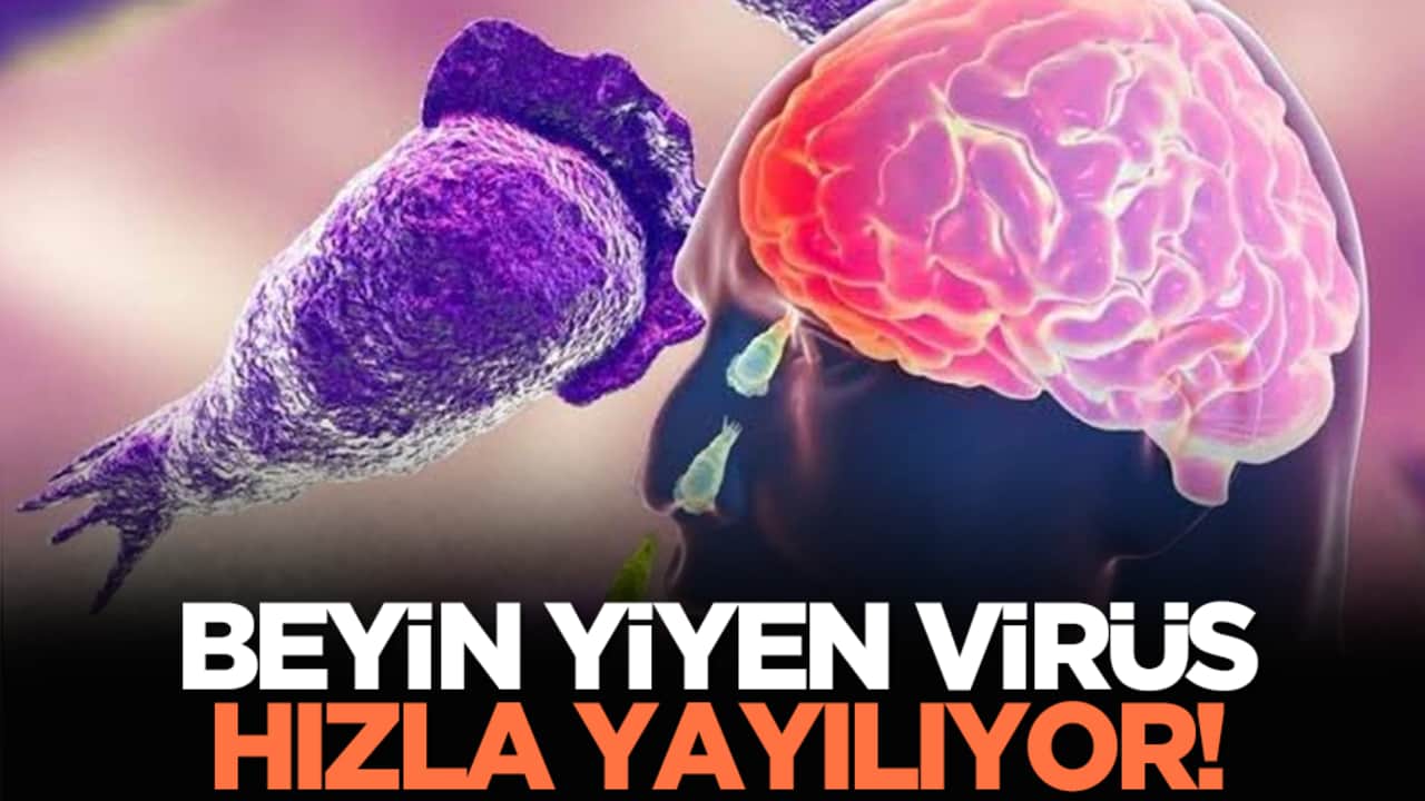 Beyin yiyen virüs hızla yayılıyor!