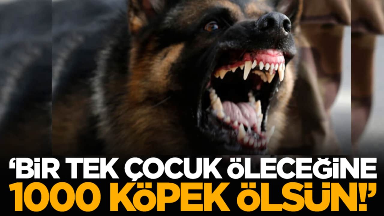 Bir Tek Çocuk Öleceğine 1000 Köpek Ölsün!
