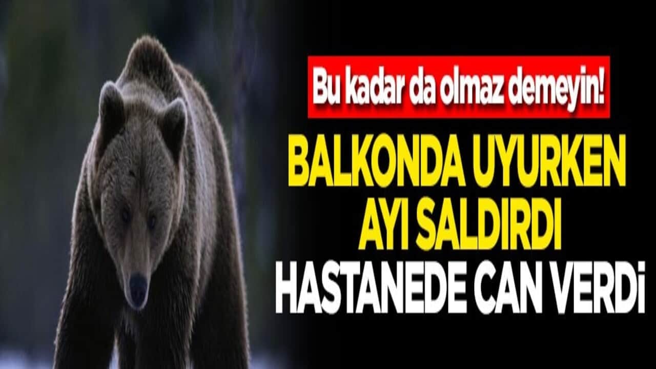 Bu kadar da olmaz demeyin! Balkonda uyurken ayı saldırdı hastanede can verdi