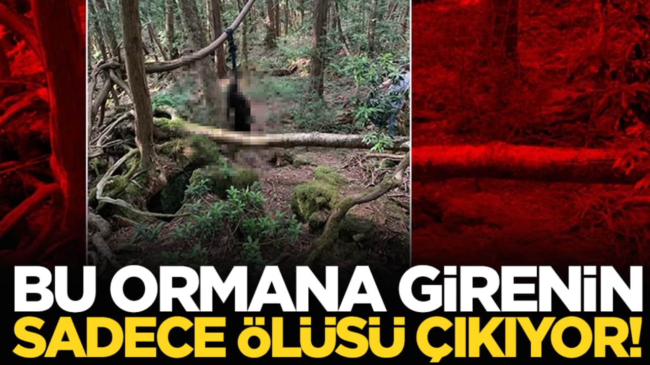 Bu ormana girenin sadece ölüsü çıkıyor!