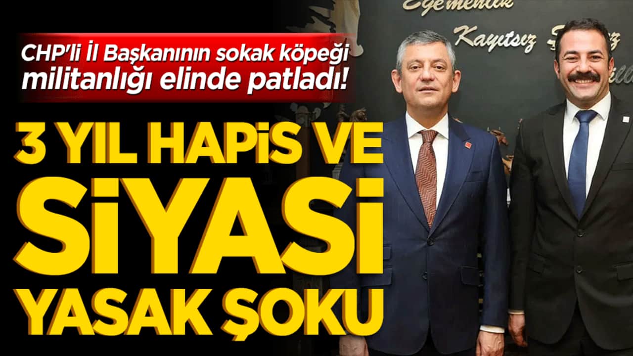 CHP'li İl Başkanının sokak köpeği militanlığı paçasında patladı! Yargı 'dur' dedi: 3 yıl hapis ve siyasi yasak şoku!