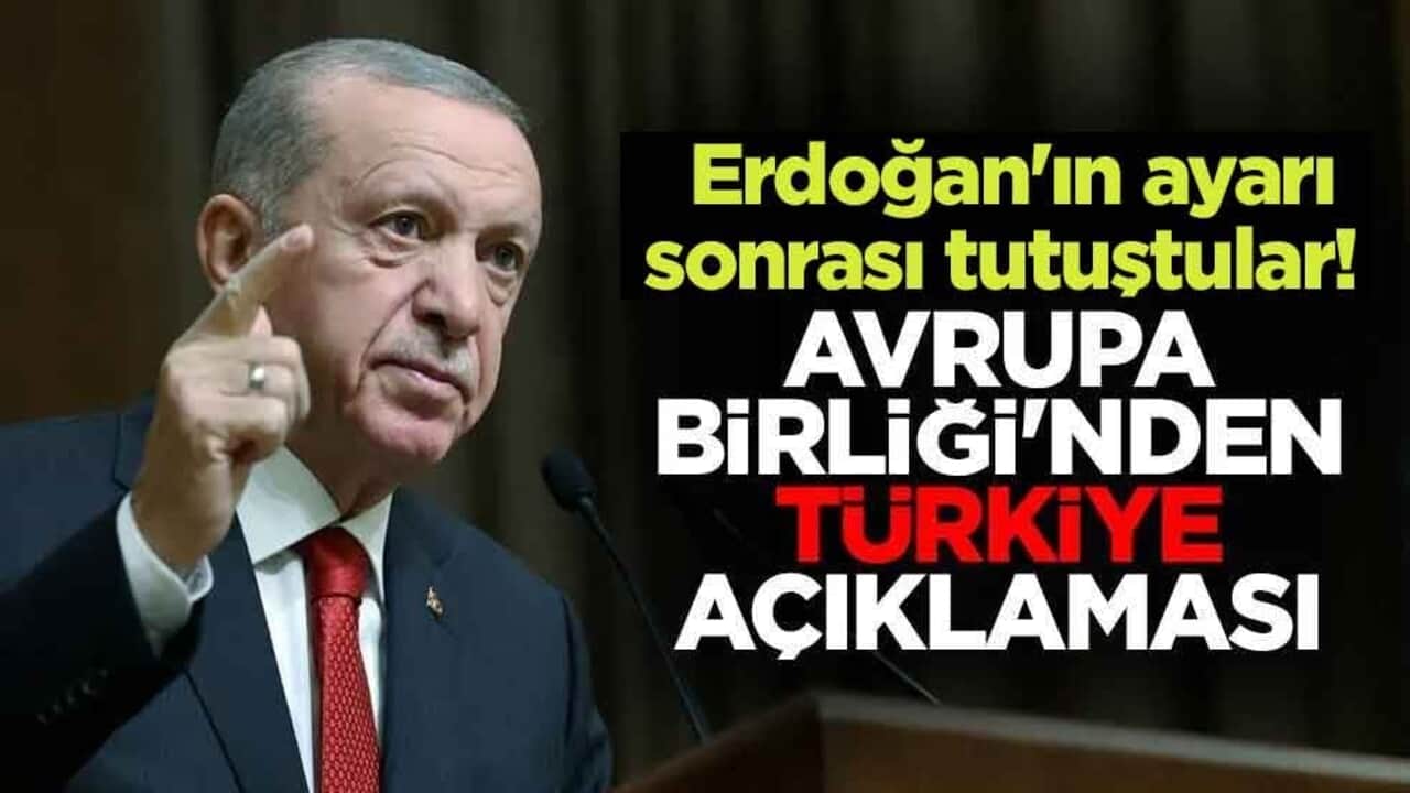 Erdoğan'ın ayarı sonrası tutuştular! Avrupa Birliği'nden Türkiye açıklaması