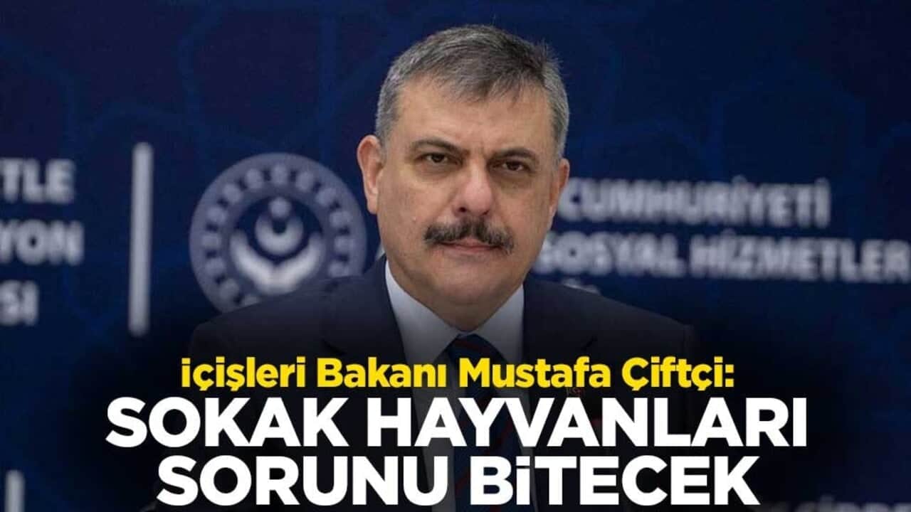 İçişleri Bakanı Mustafa Çiftçi: Sokak hayvanları sorunu bitecek