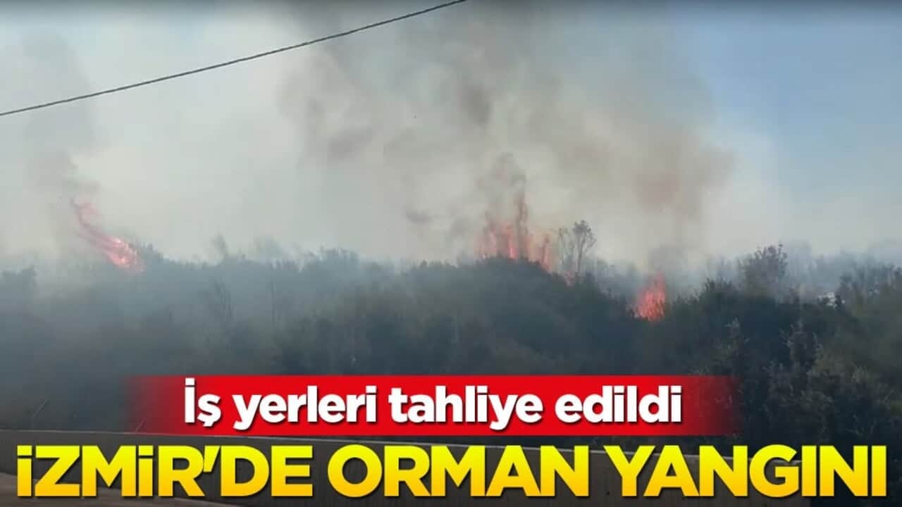 İzmir'de büyük yangın! İş yerleri tahliye edildi