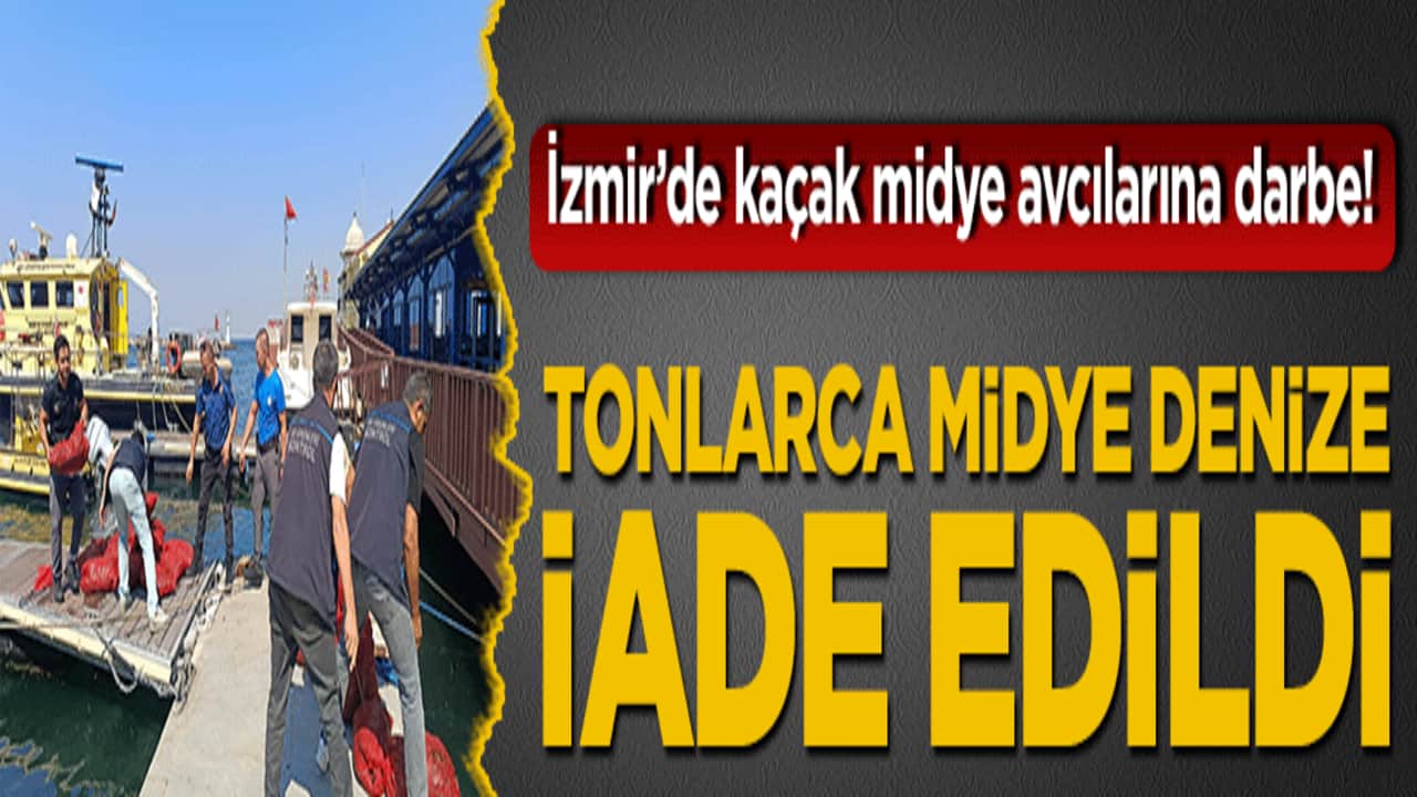 İzmir’de kaçak midye avcılarına darbe! Tonlarca midye denize iade edildi!