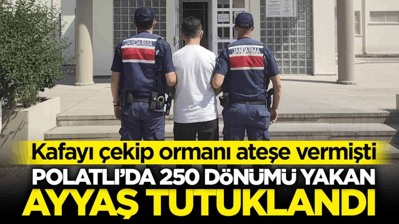 Kafayı çekip ormanı ateşe vermişti! Polatlı’da 250 dönümü yakan ayyaş tutuklandı