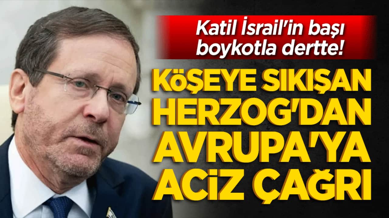 Katil İsrail'in başı boykotla dertte! Köşeye sıkışan Herzog'dan Avrupa'ya aciz çağrı