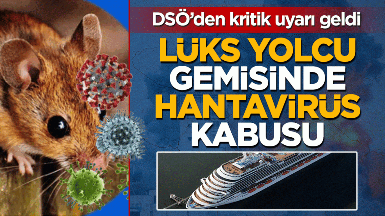 Lüks yolcu gemisinde hantavirüs kabusu: 3 ölü! DSÖ’den kritik uyarı geldi