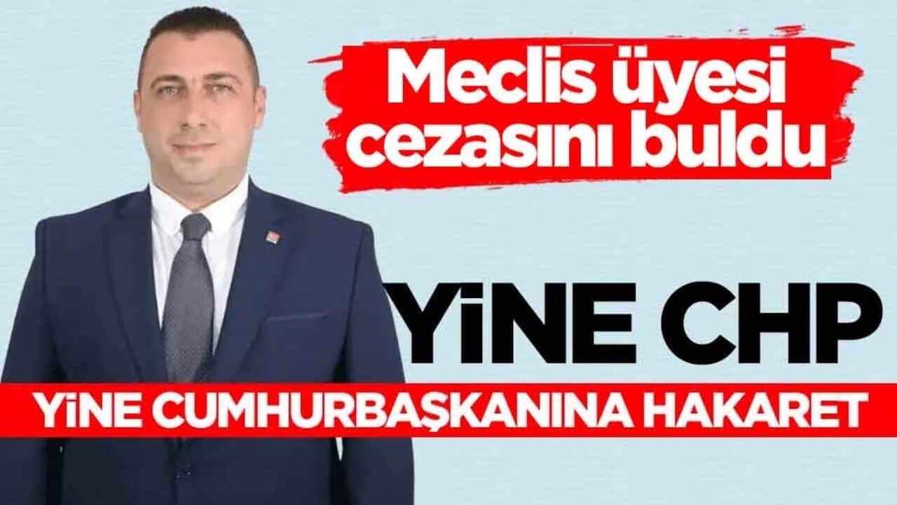 Meclis üyesi cezasını buldu! Yine CHP yine Cumhurbaşkanına hakaret