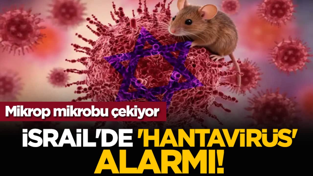 Mikrop mikrobu çekiyor: İsrail'de 'hantavirüs' paniği