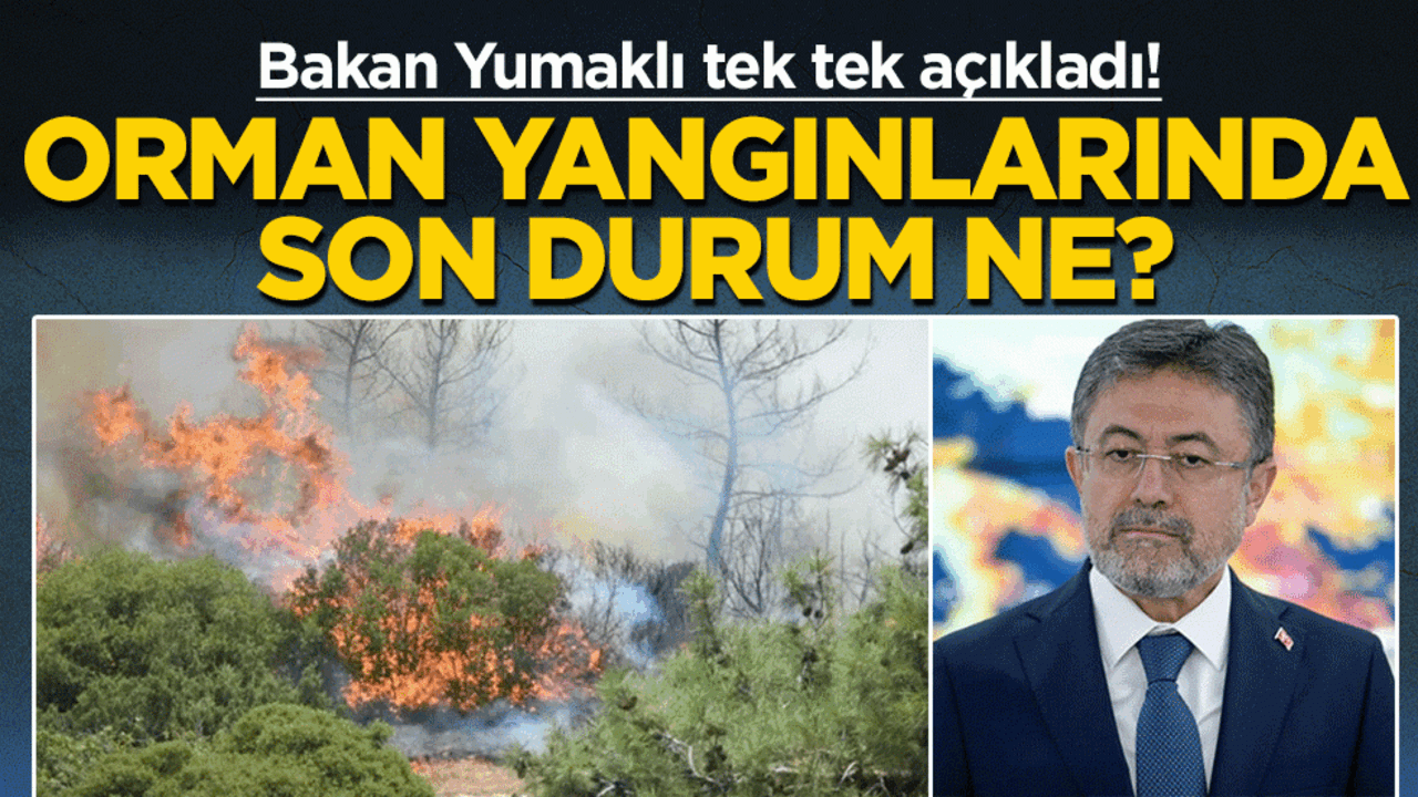 Orman yangınlarında son durum ne? Bakan Yumaklı tek tek açıkladı!