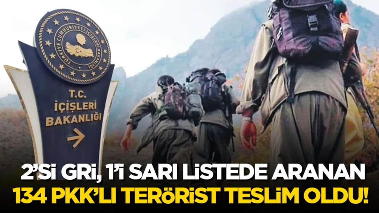 İçişleri Bakanlığı: 2’si Gri, 1’i Sarı listede aranan 134 PKK'lı terörist teslim oldu