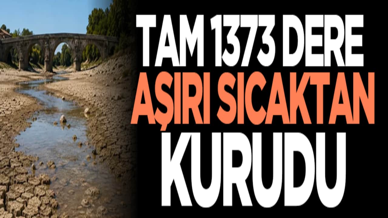 Tam 1373 dere aşırı sıcaktan kurudu