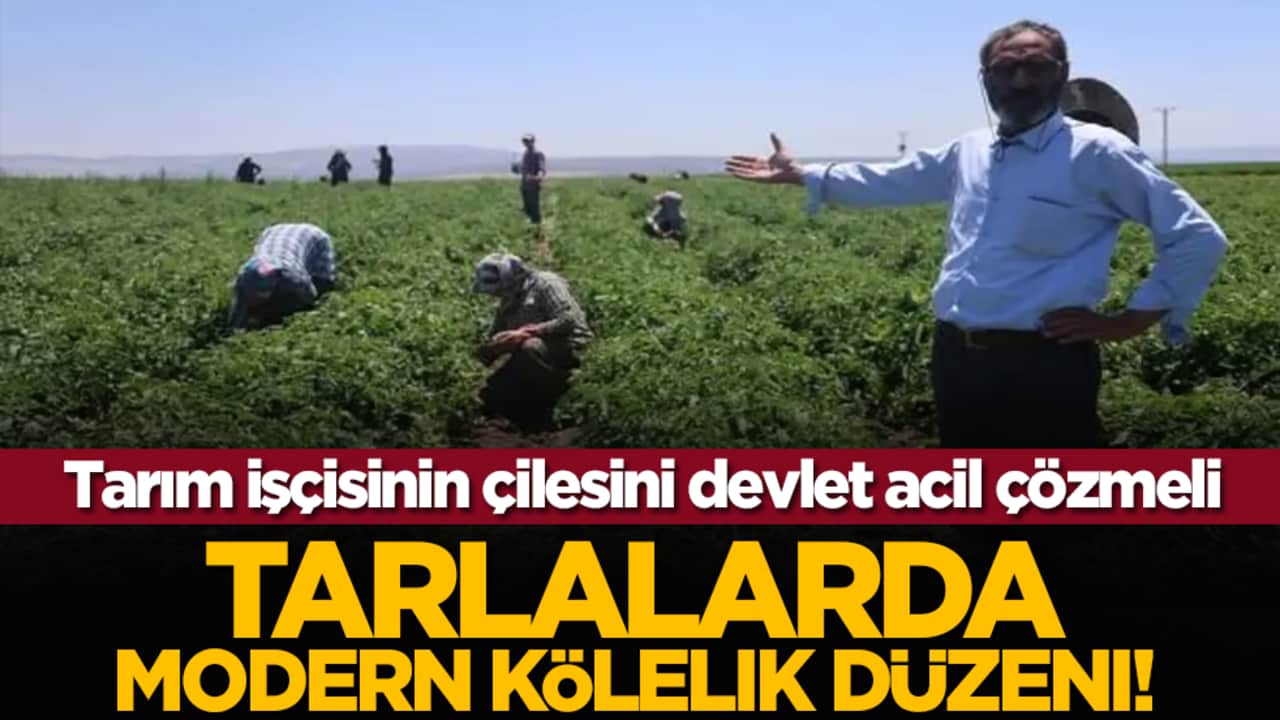 Tarım işçisinin çilesini devlet acil çözmeli: Tarlalarda Modern Kölelik Düzeni!