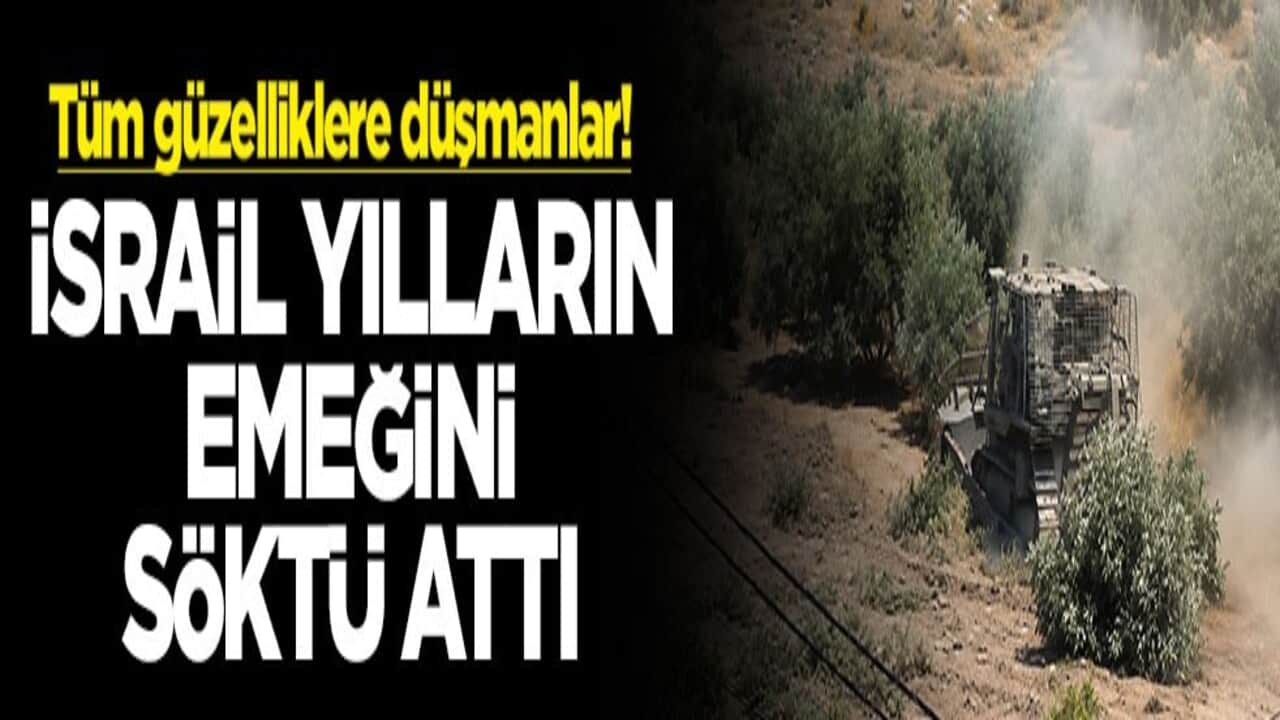 Tüm güzelliklere düşmanlar! İsrail yılların emeğini söktü attı