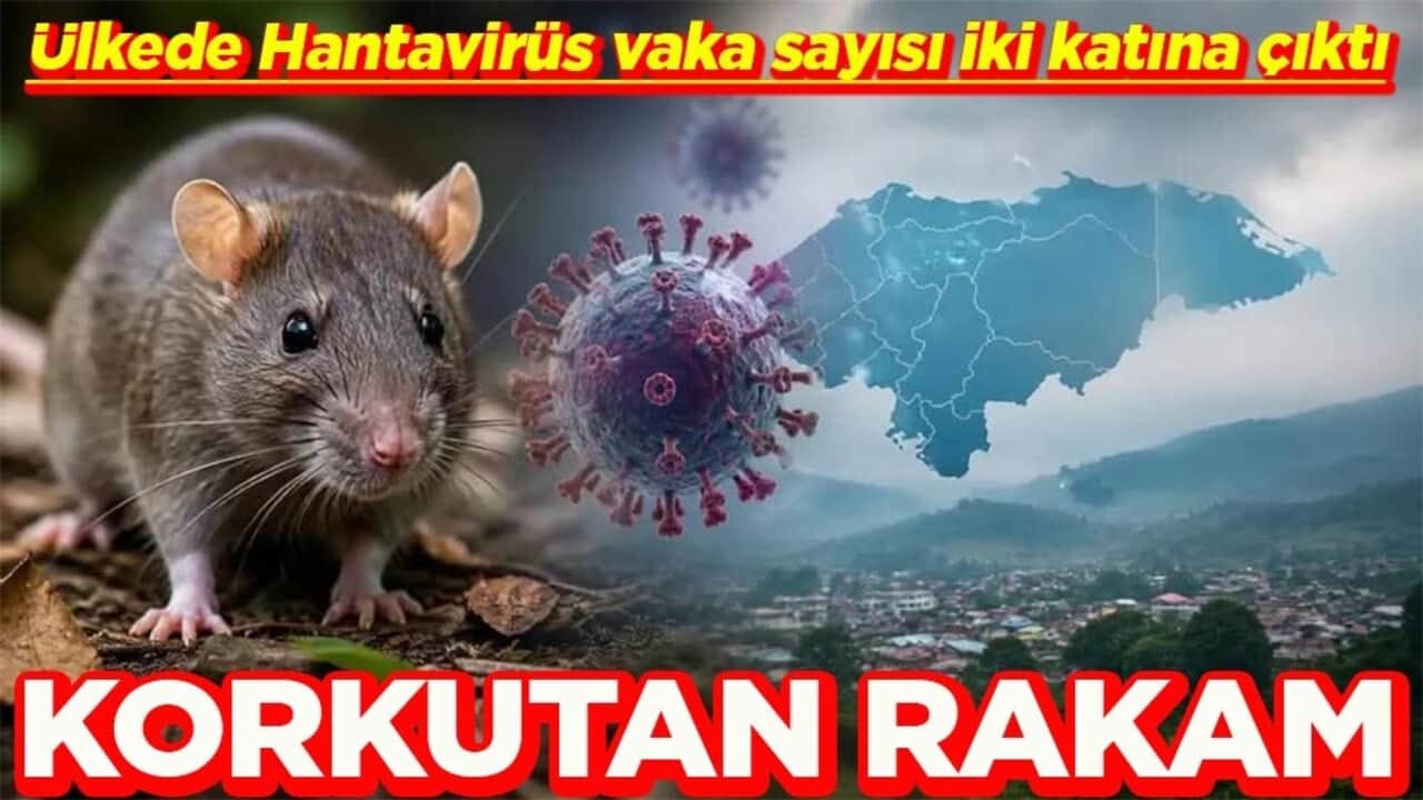 Ülkede Hantavirüs vaka sayısı iki katına çıktı Korkutan rakam