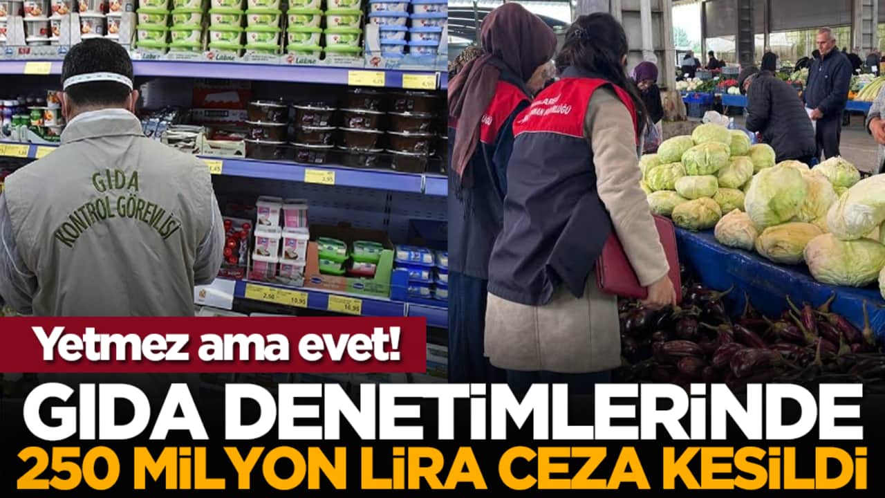 Yetmez ama evet! Gıda denetimlerinde 250 milyon lira ceza kesildi