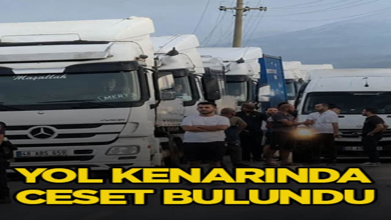Yol kenarında ceset bulundu