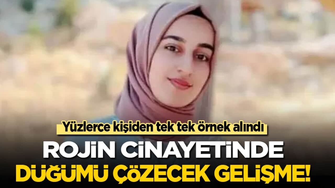 Yüzlerce kişiden tek tek alındı: Rojin cinayetinde düğümü çözecek gelişme