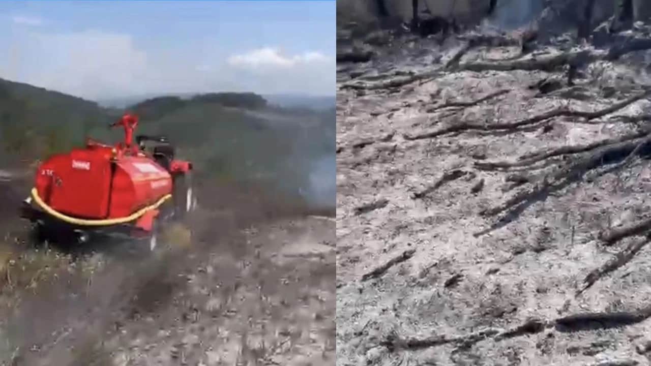 Anız yangını geç olmadan söndürüldü