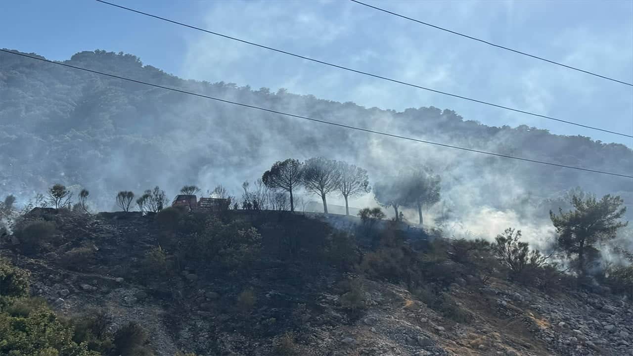 Antalya'da çıkan orman yangınına havadan ve karadan müdahale ediliyor