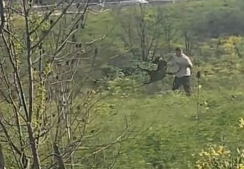 Avcılar’da köpeğine kemerli şiddet uygulayan kişi yakalandı