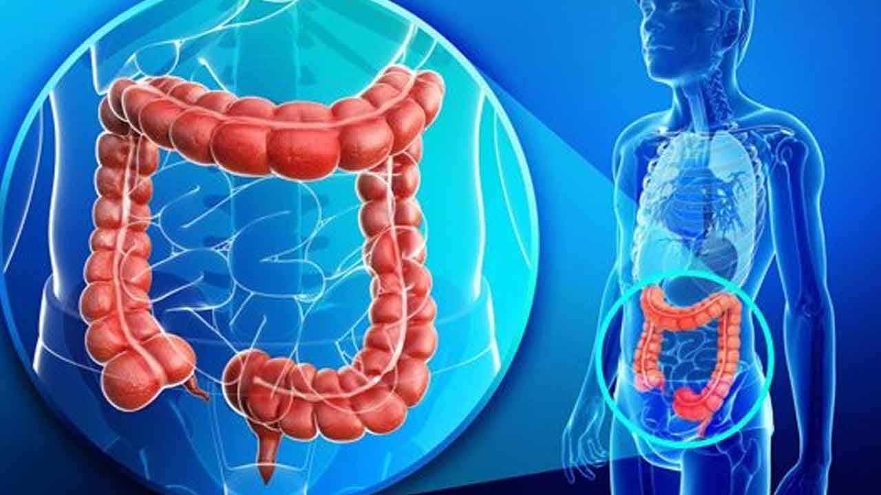 Bağırsaklarınız için süper güç! ‘Fibermaxxing’ ile kansere dur deyin