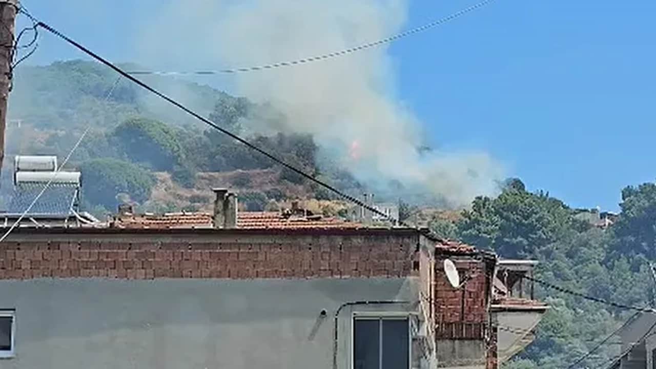 Balıkesir orman yangını