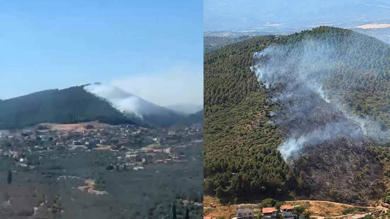 Balıkesir'den kötü haber: Orman yangını başladı