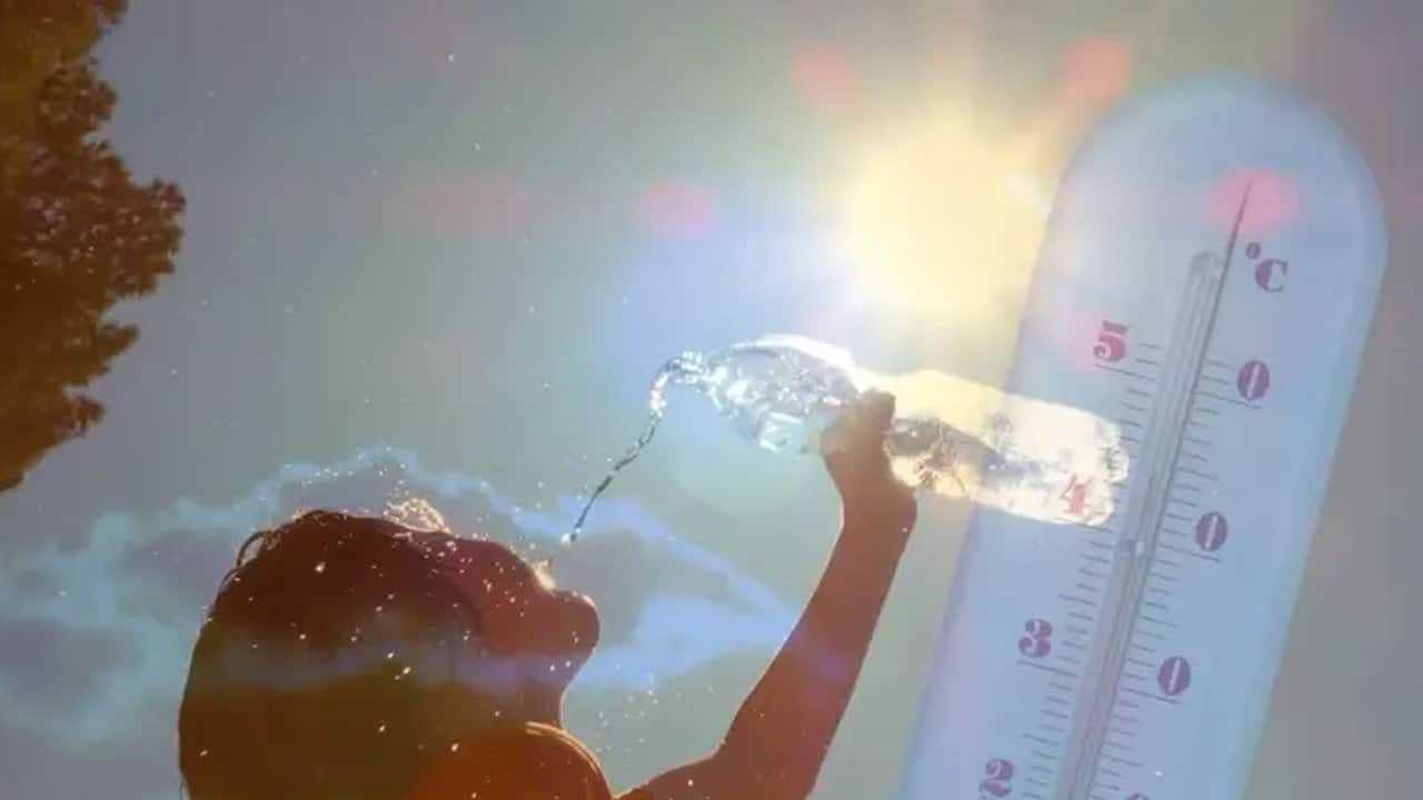 Belçika sıcaktan kavruluyor