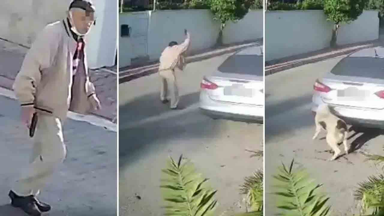 Bu nasıl iştir! Canını kurtarmak için saldıran köpeği silahla vuran emekli polise hapis istemi!