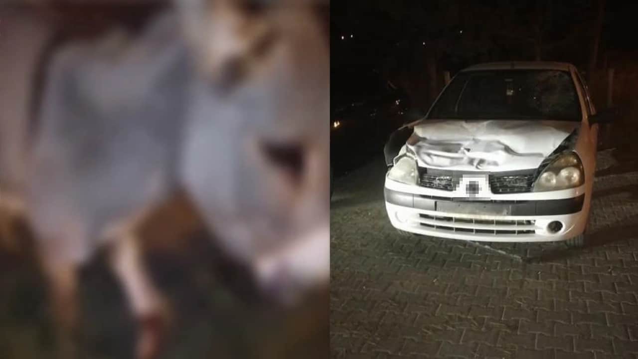 Çankırı'da Otomobil Eşeğe Çarptı