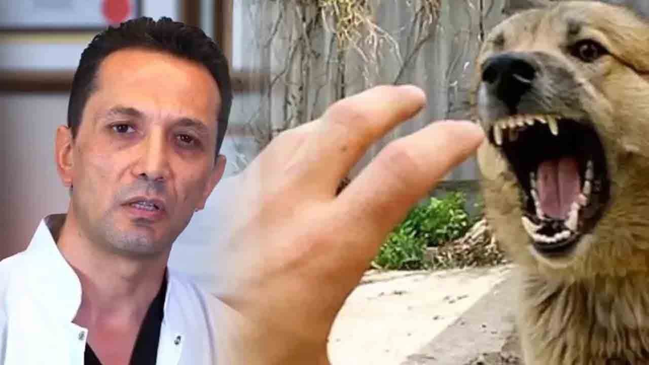 Çocukları köpekten kurtaran doktora iftira atanlara tepki! "Köpeğin sahiplerine adli işlem yapılmalıdır"