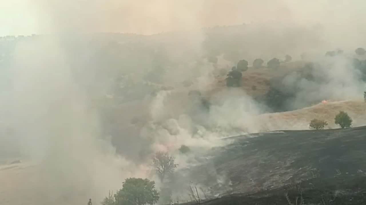 Dağlık alandan dumanlar yükseldi! Malatya’da orman yangını