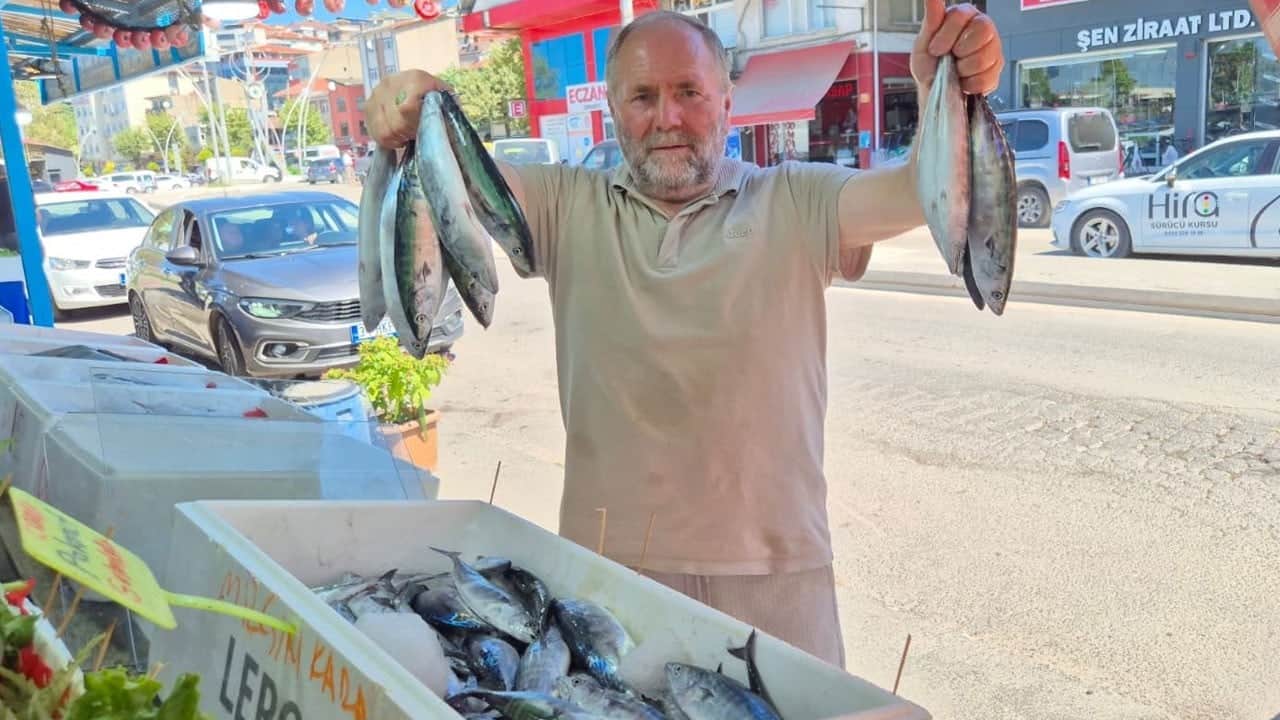 Denizden bereket fışkırdı! Oltasını kapan kasa kasa dönüyor