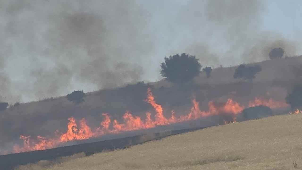 Diyarbakır’da tehlikeli yangın! Ekipler olay yerinde