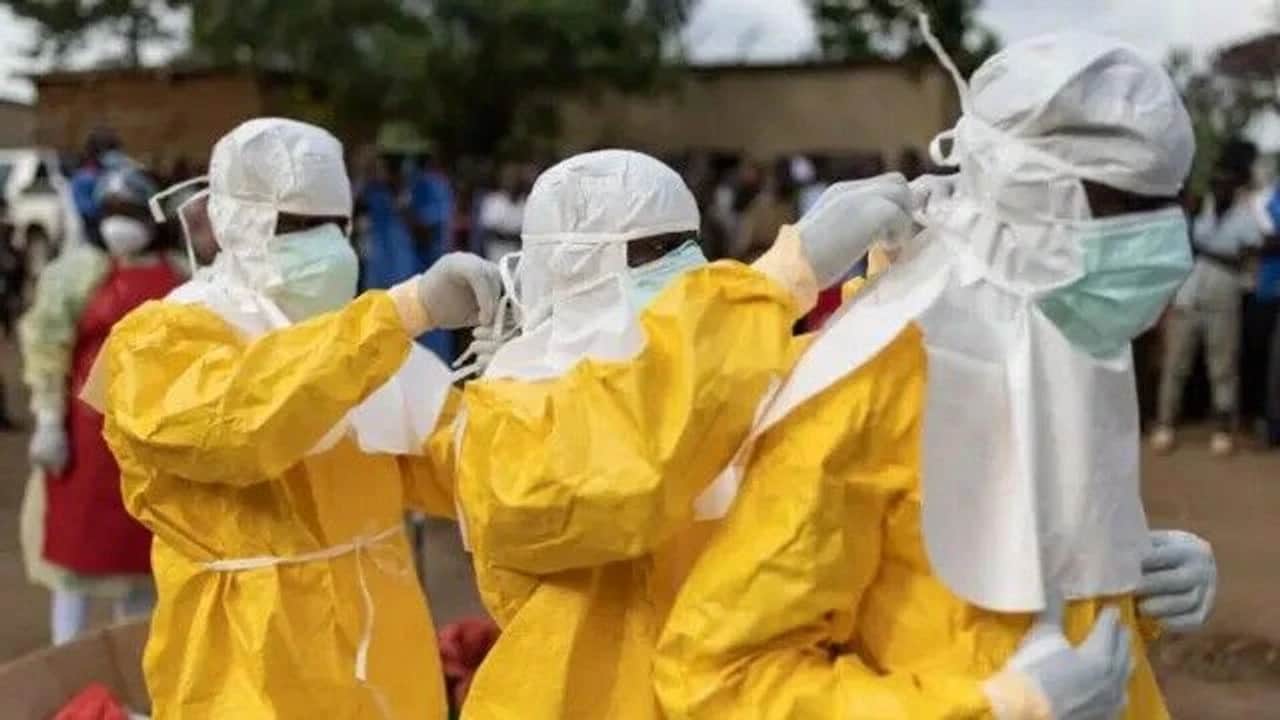 Ebola virüsü kaynaklı can kaybı 200'ü aştı!