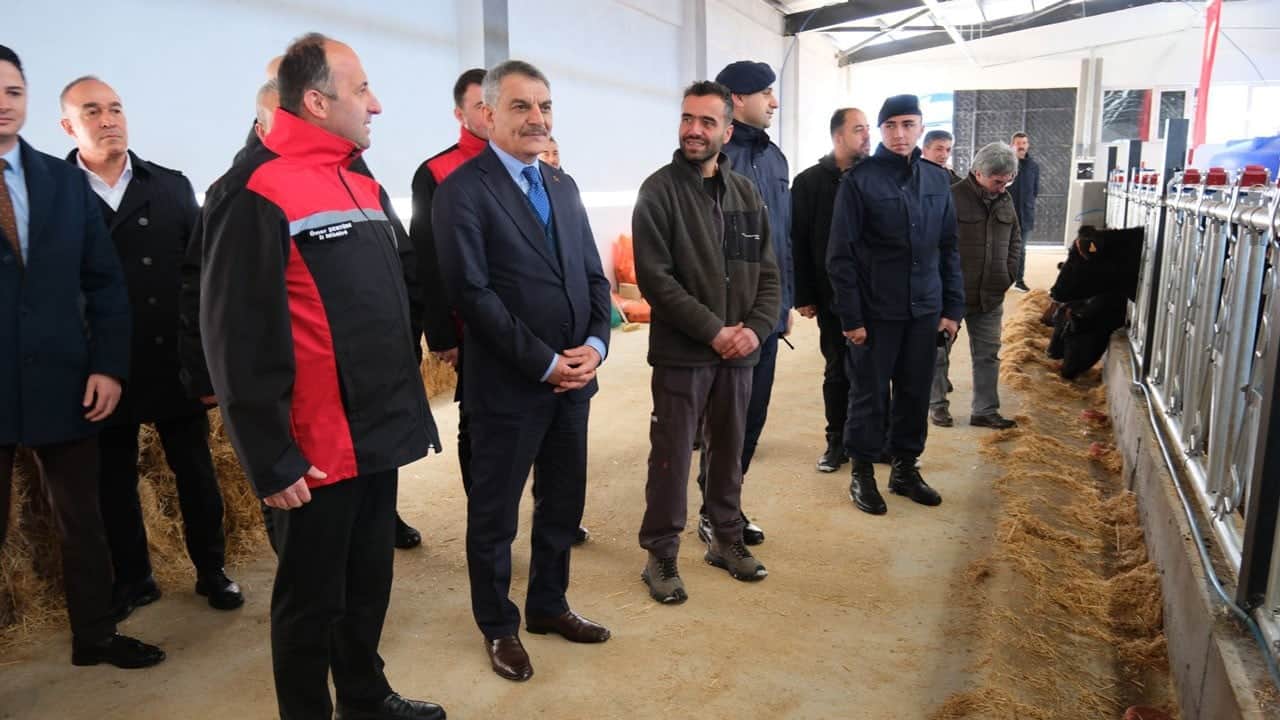 Hayvancılığa destek! Veteriner hekime 26 gebe düve teslim edildi