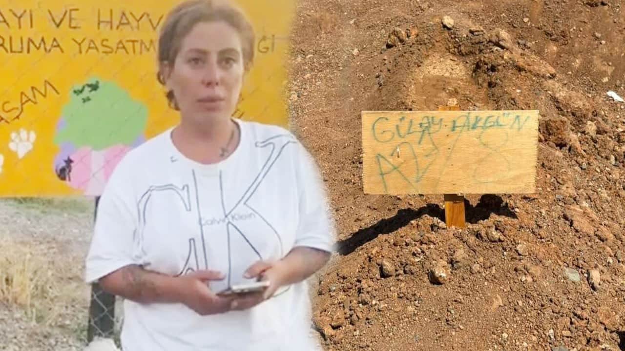 Hayvanları koruma derneği başkanı toprağa verildi! Katil zanlısı kardeşi aranıyor!