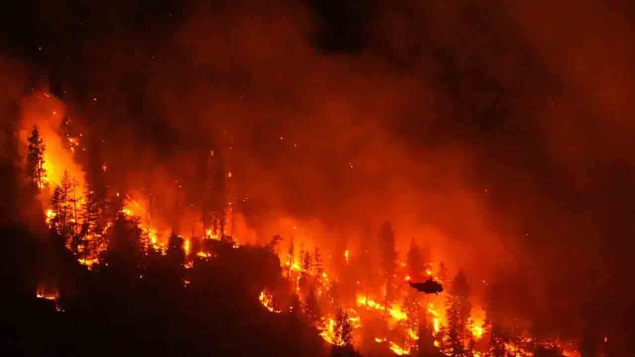 Kanada alev alev: 230 ev kül oldu