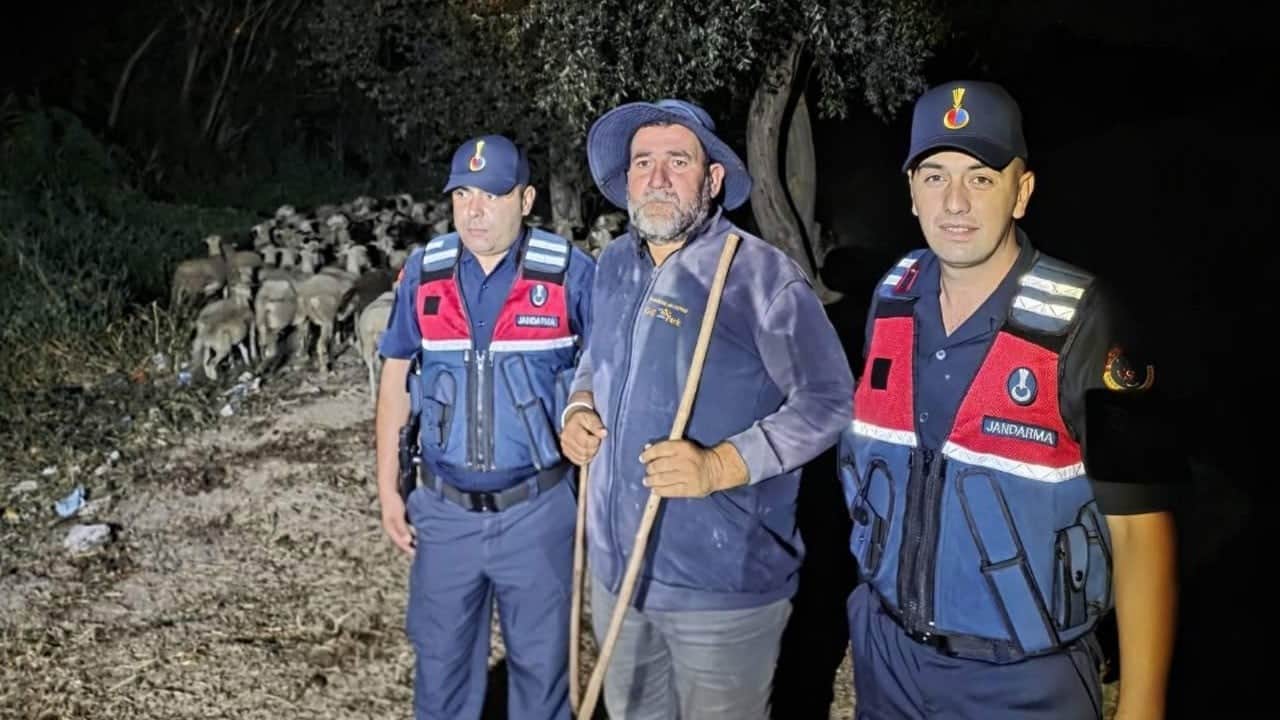 Kayıp çoban ile 100 koyunu jandarma buldu