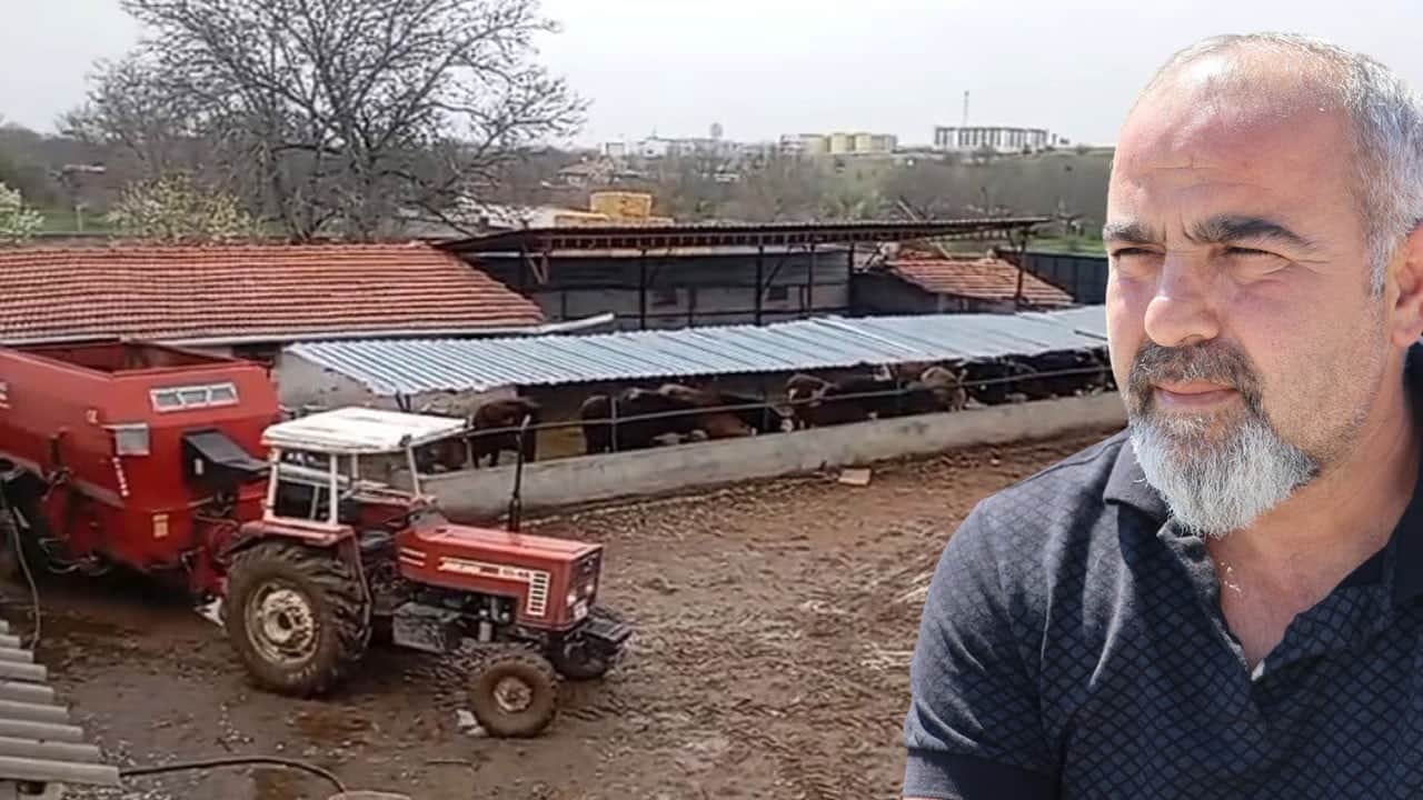 Kayıp hayvanlarını ararken acı gerçekle yüzleşti: Beraber aradığı komşusu çalmış!