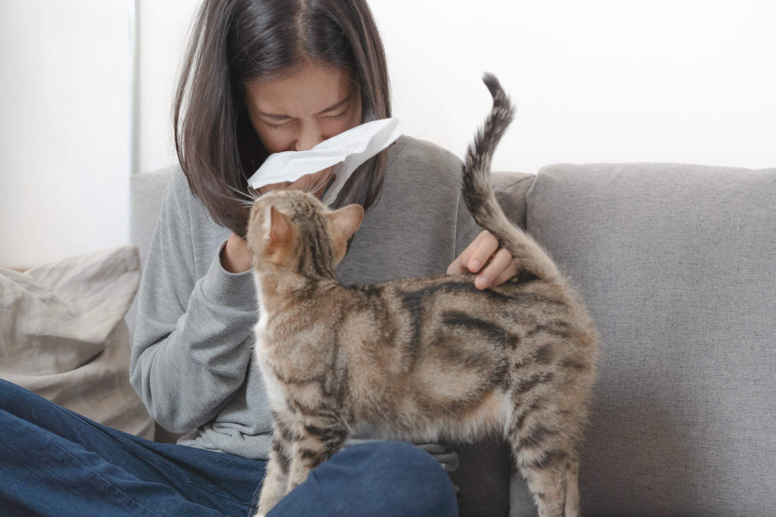 Kedi Sevmeyenlerin Ortak Özellikleri Nelerdir?