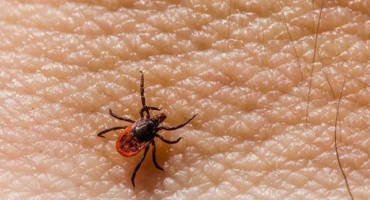 Kene kabusu can aldı! 5 çocuk annesi kadın kurtarılamadı!