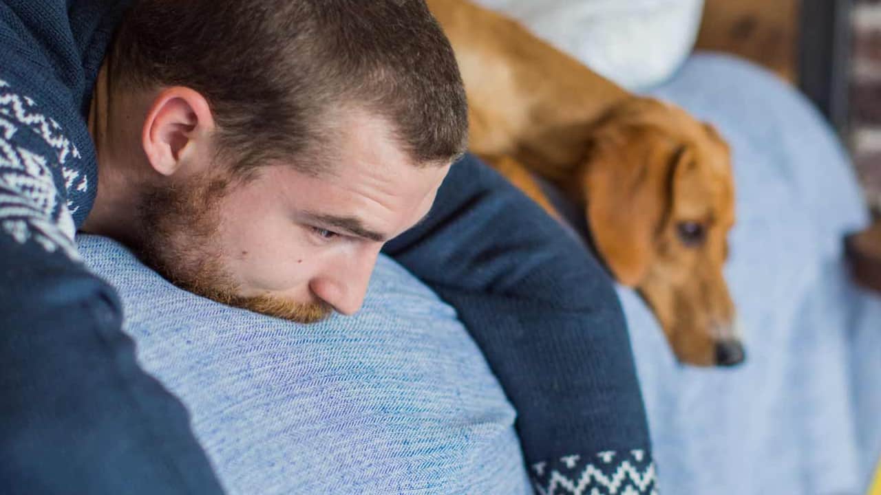 'Köpek sahibi olmak stresle başa çıkmak yerine olumsuz duyguları artırabiliyor!'
