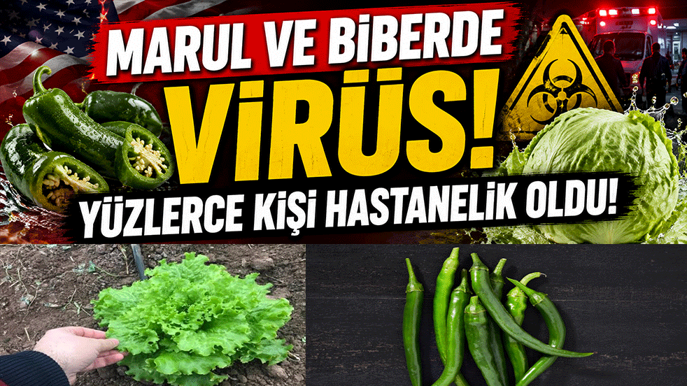 Marul ve biberde virüs alarmı! Yüzlerce kişi hastanelik oldu