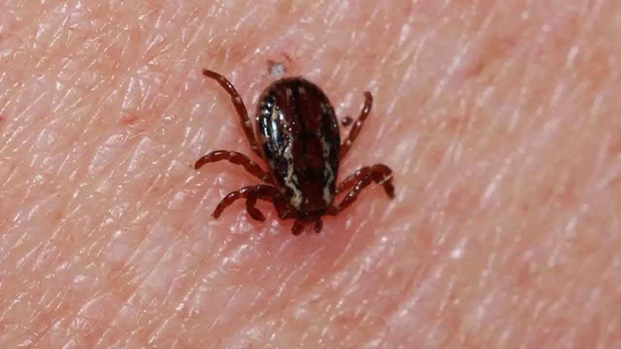 Ölümcül tehlike! Sivas Valiliği uyardı